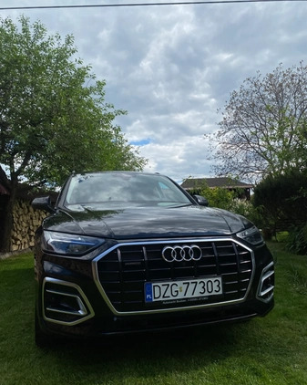 Audi Q5 cena 169000 przebieg: 51900, rok produkcji 2021 z Zgorzelec małe 106